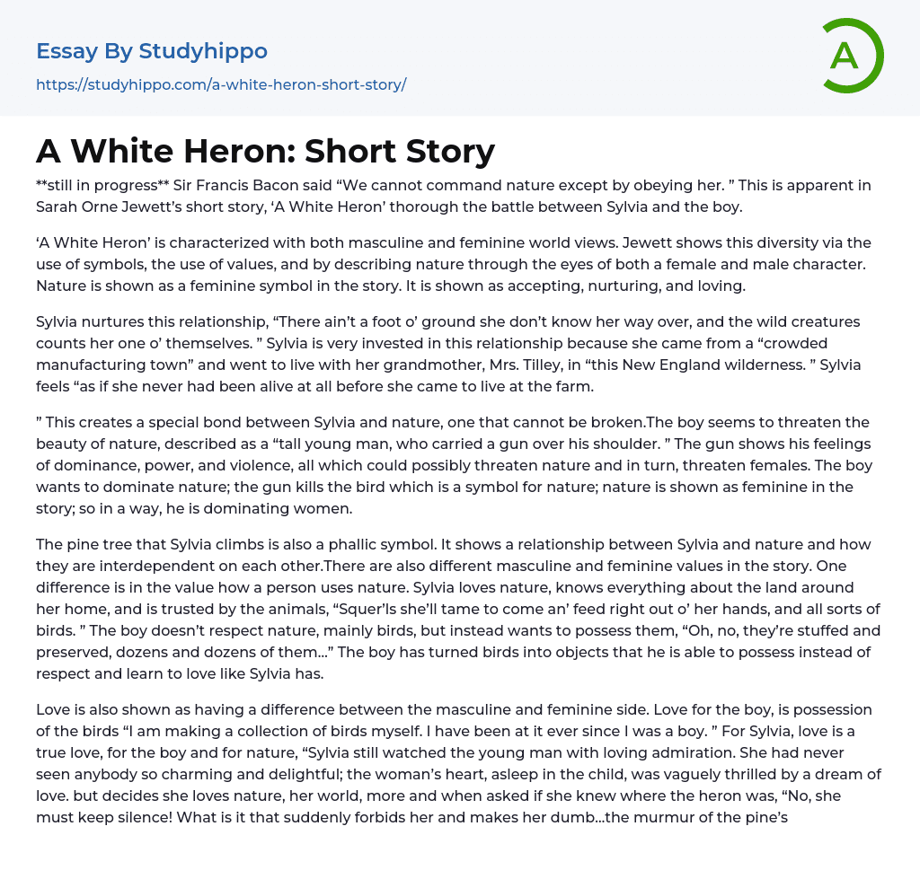 A White Heron: Short Story Essay Example