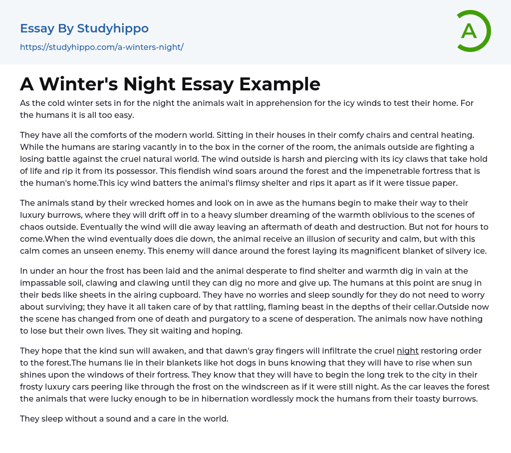 A Winter’s Night Essay Example