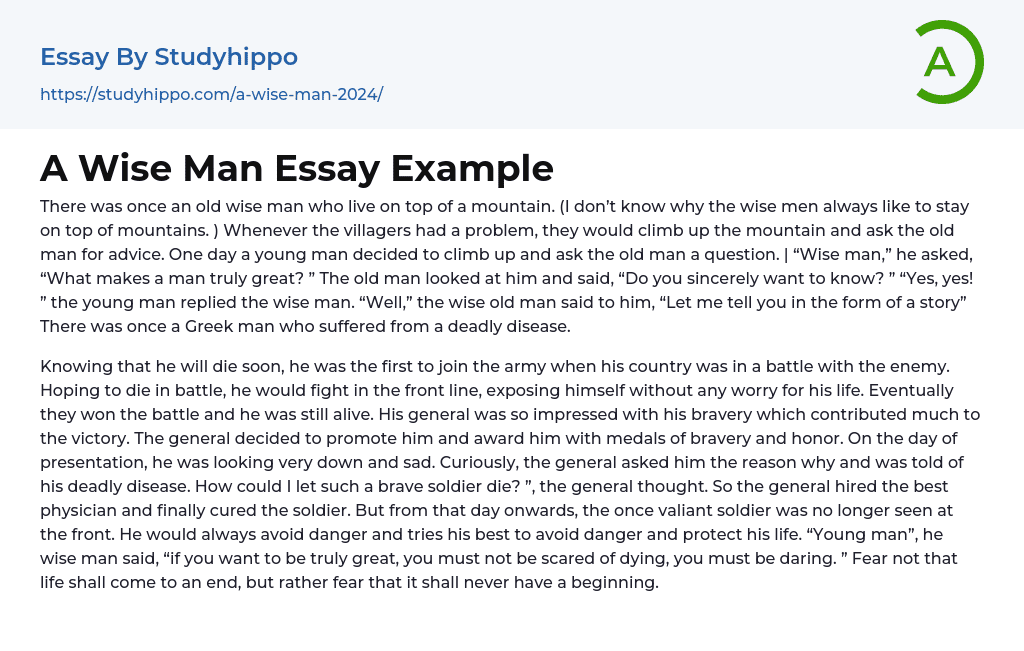 A Wise Man Essay Example