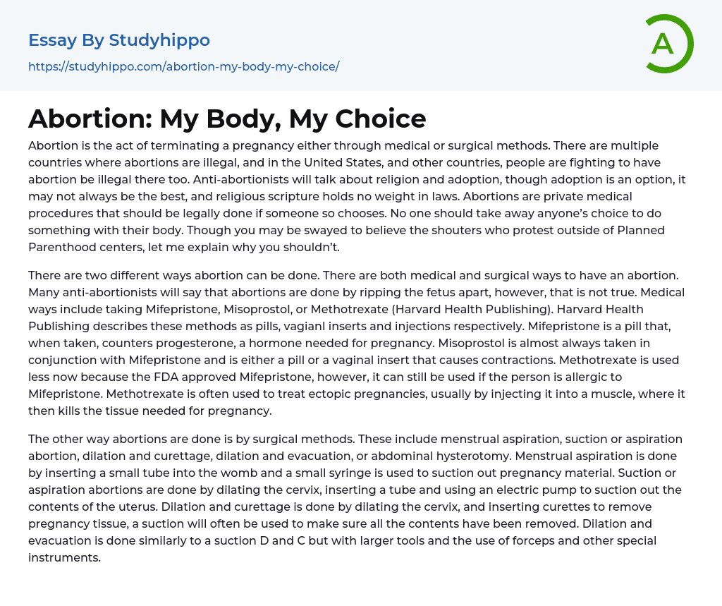 Abortion: My Body, My Choice Essay Example