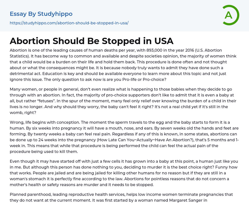 Abortion Should Be Stopped in USA Essay Example