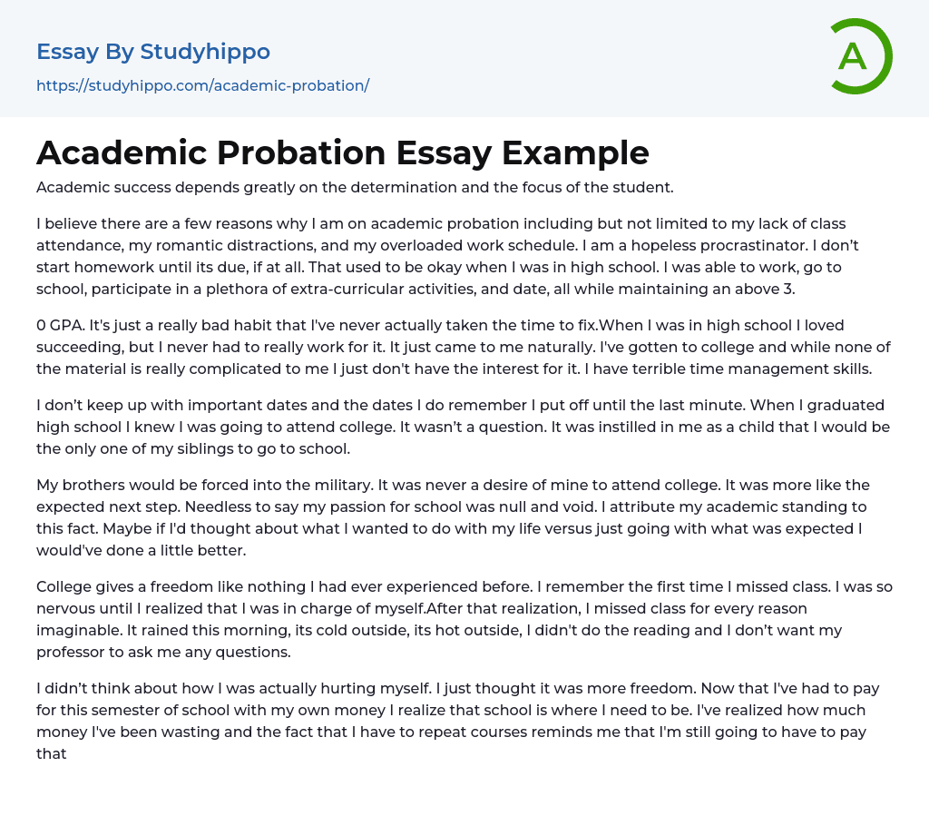 Academic Probation Essay Example