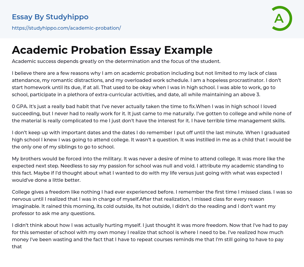 Academic Probation Essay Example StudyHippo