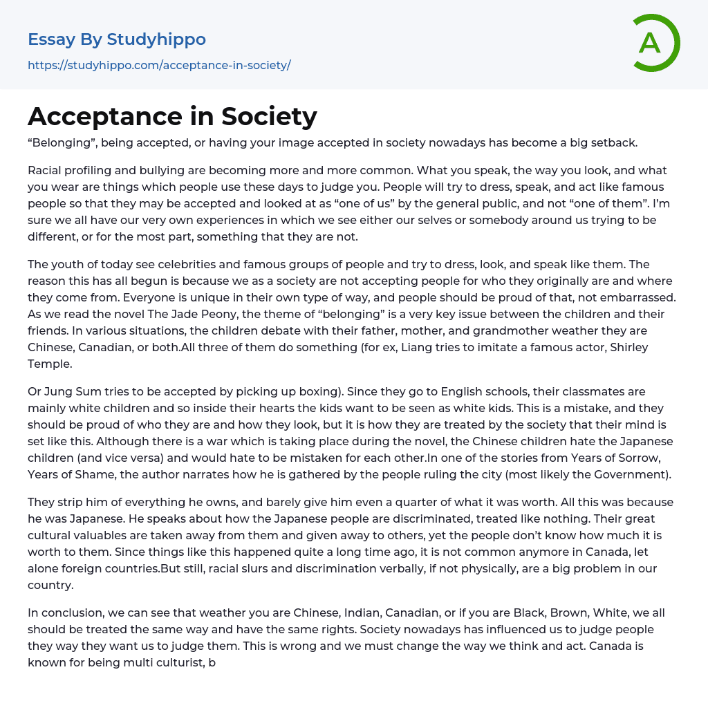 Acceptance in Society Essay Example