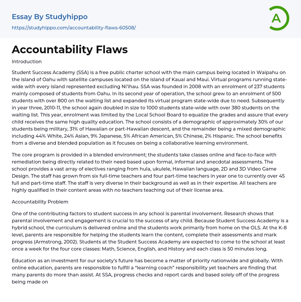 Accountability Flaws Essay Example