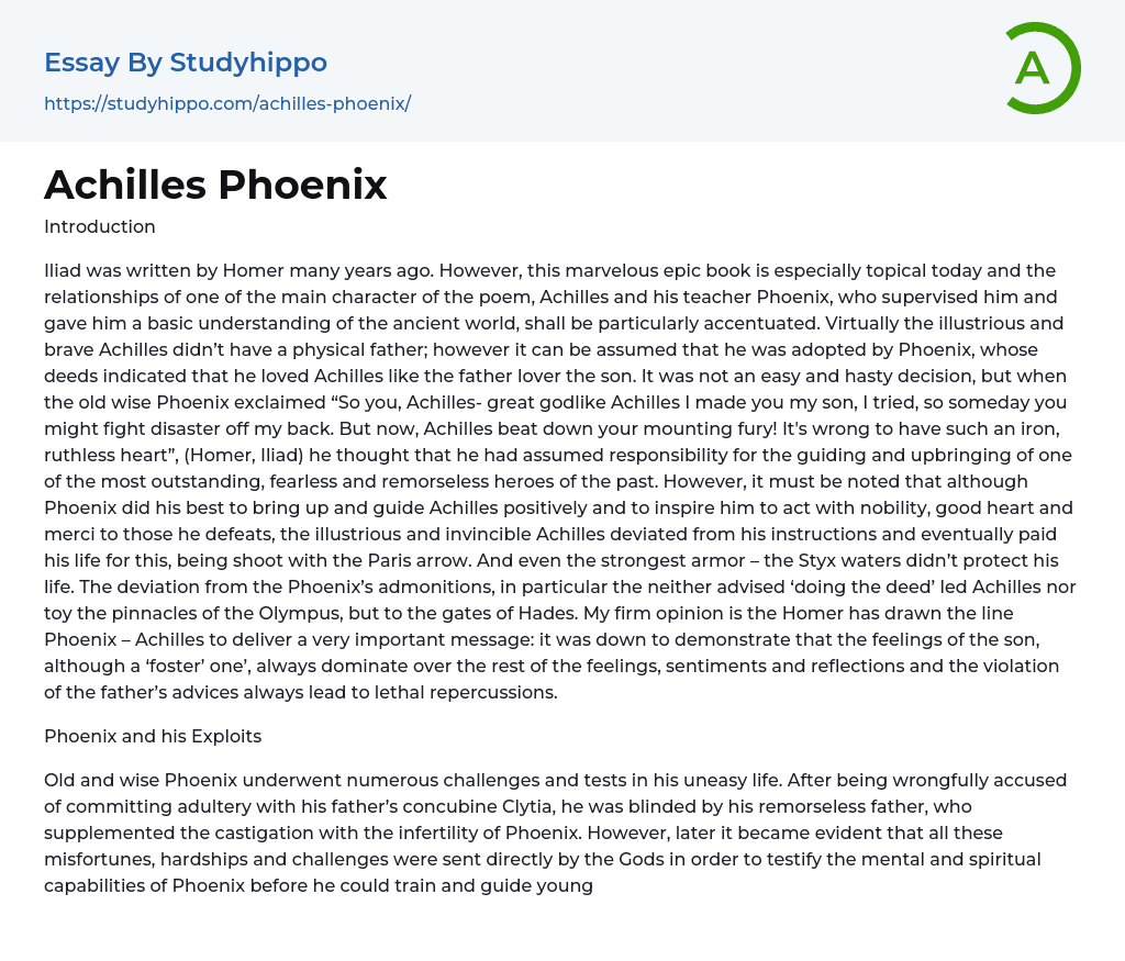 Achilles Phoenix Essay Example