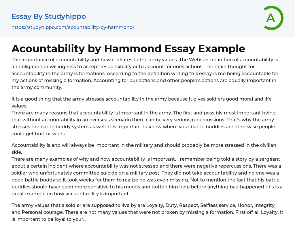 Acountability by Hammond Essay Example