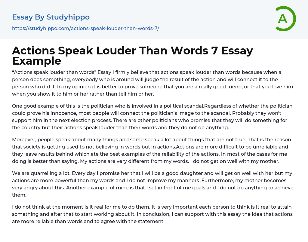 Actions Speak Louder Than Words 7 Essay Example