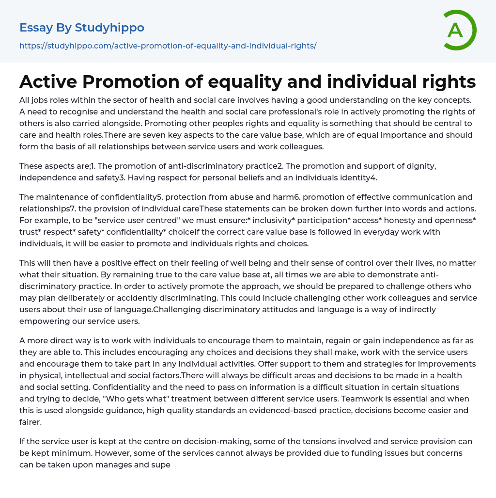 Active Promotion of equality and individual rights Essay Example