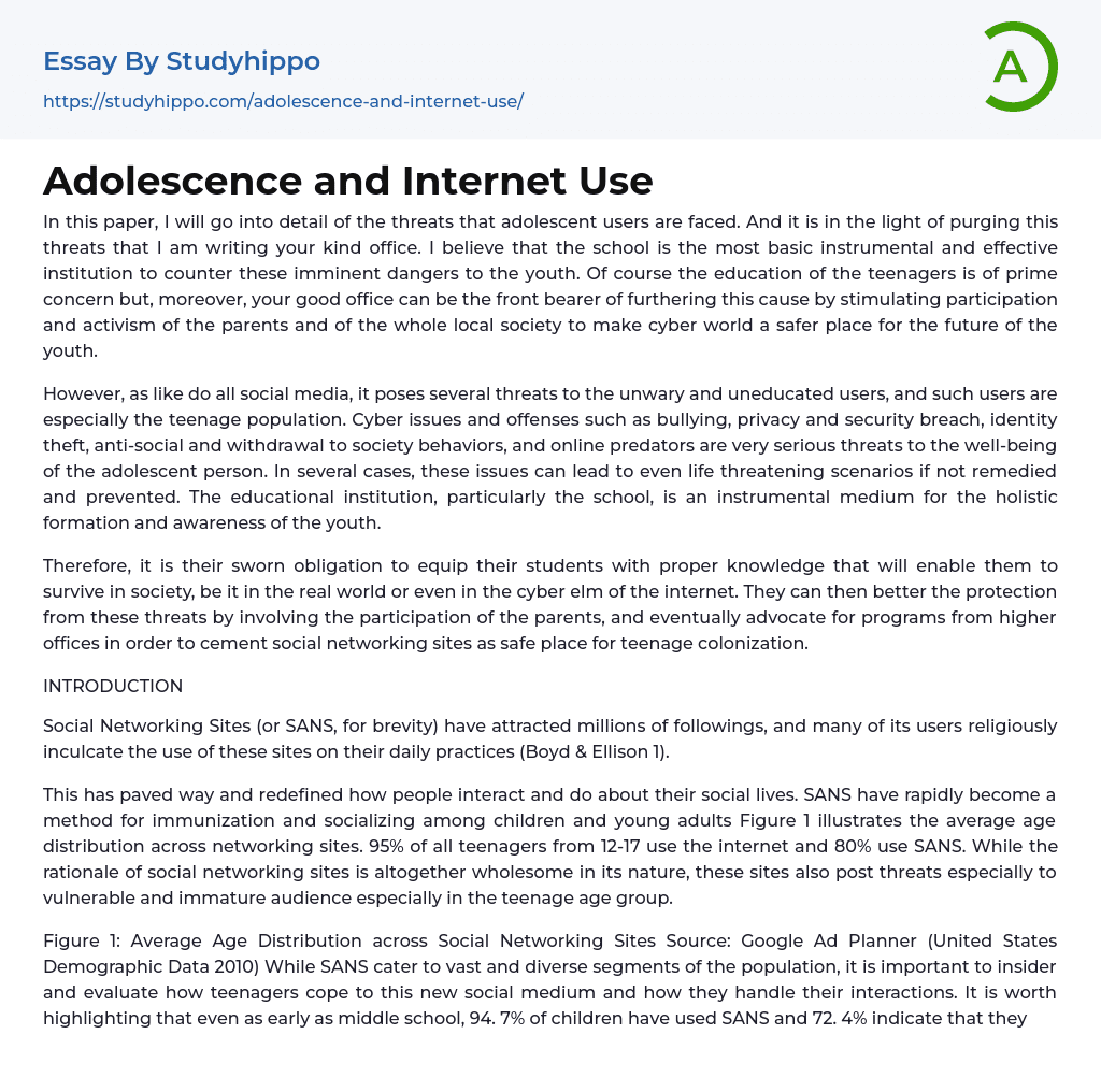 Adolescence and Internet Use Essay Example