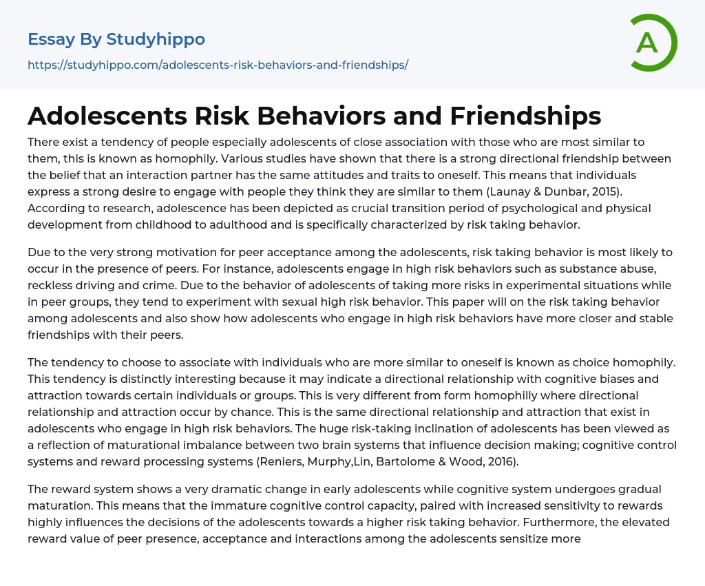 Adolescents Risk Behaviors and Friendships Essay Example