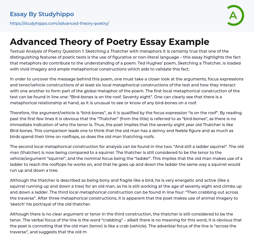 Advanced Theory of Poetry Essay Example