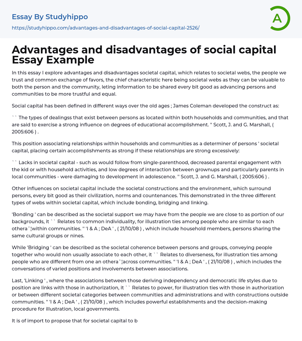 Advantages and disadvantages of social capital Essay Example