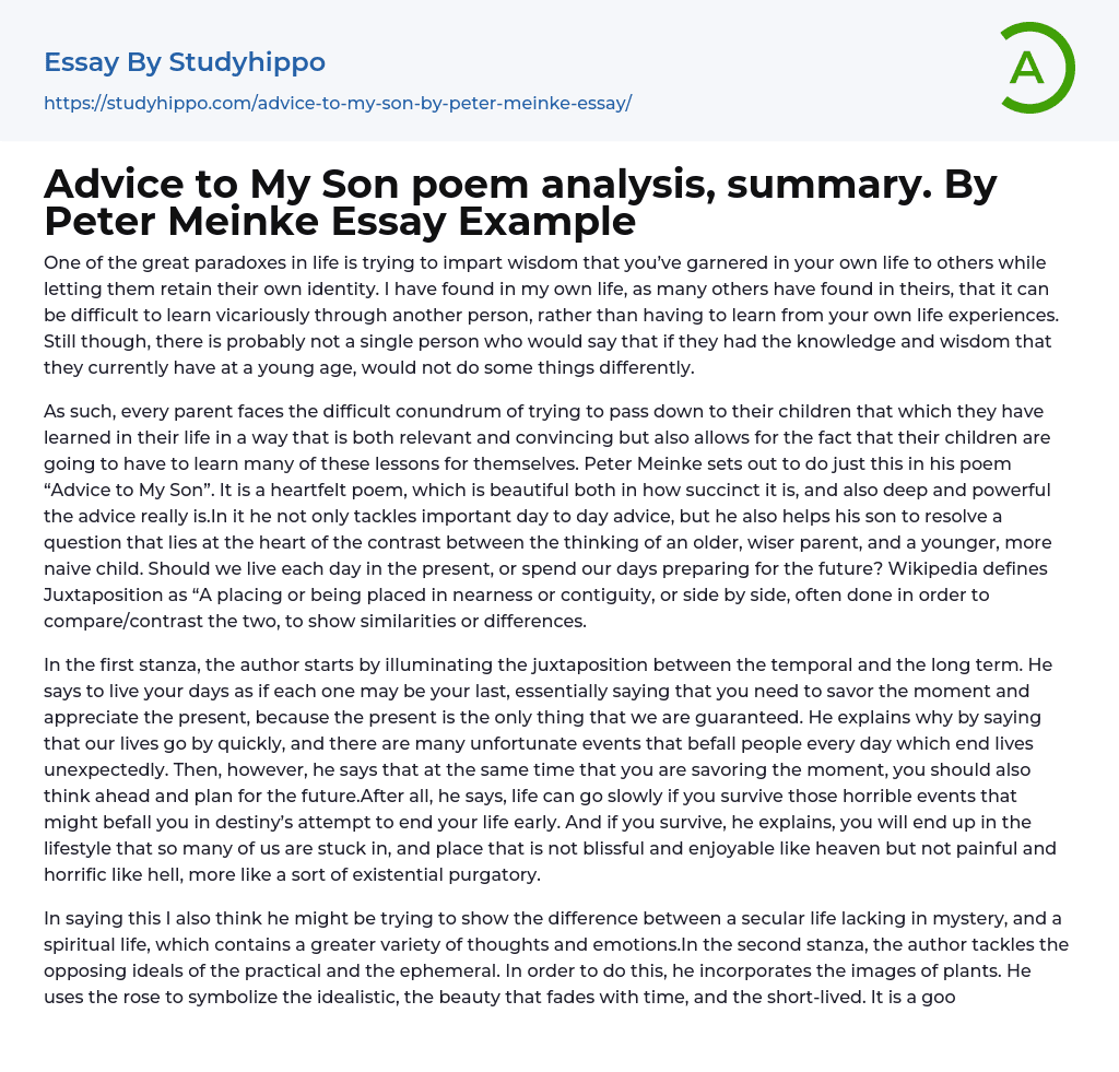 Advice to My Son poem analysis, summary. By Peter Meinke Essay Example