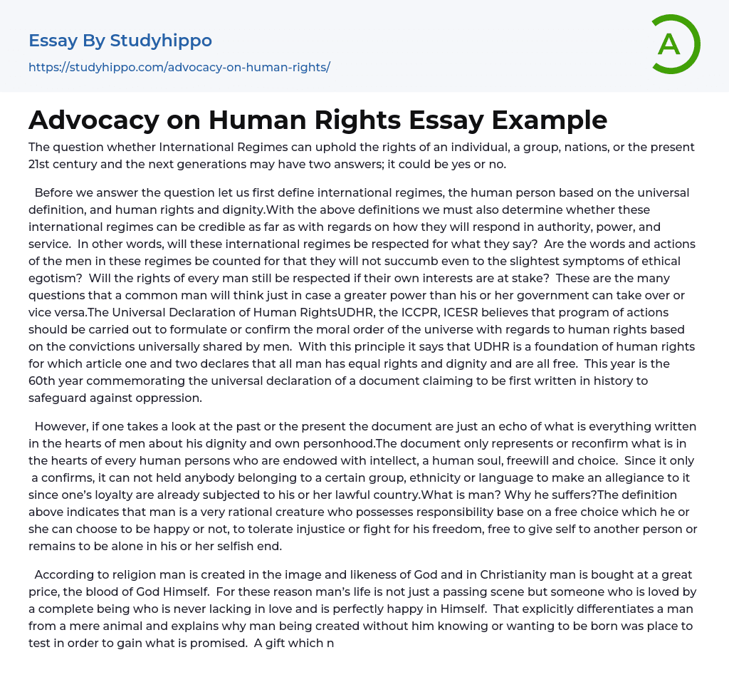 Advocacy on Human Rights Essay Example