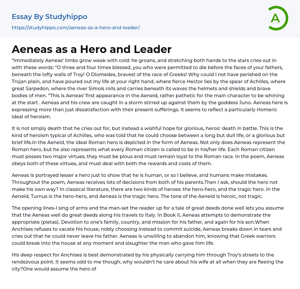 Aeneas as a Hero and Leader Essay Example