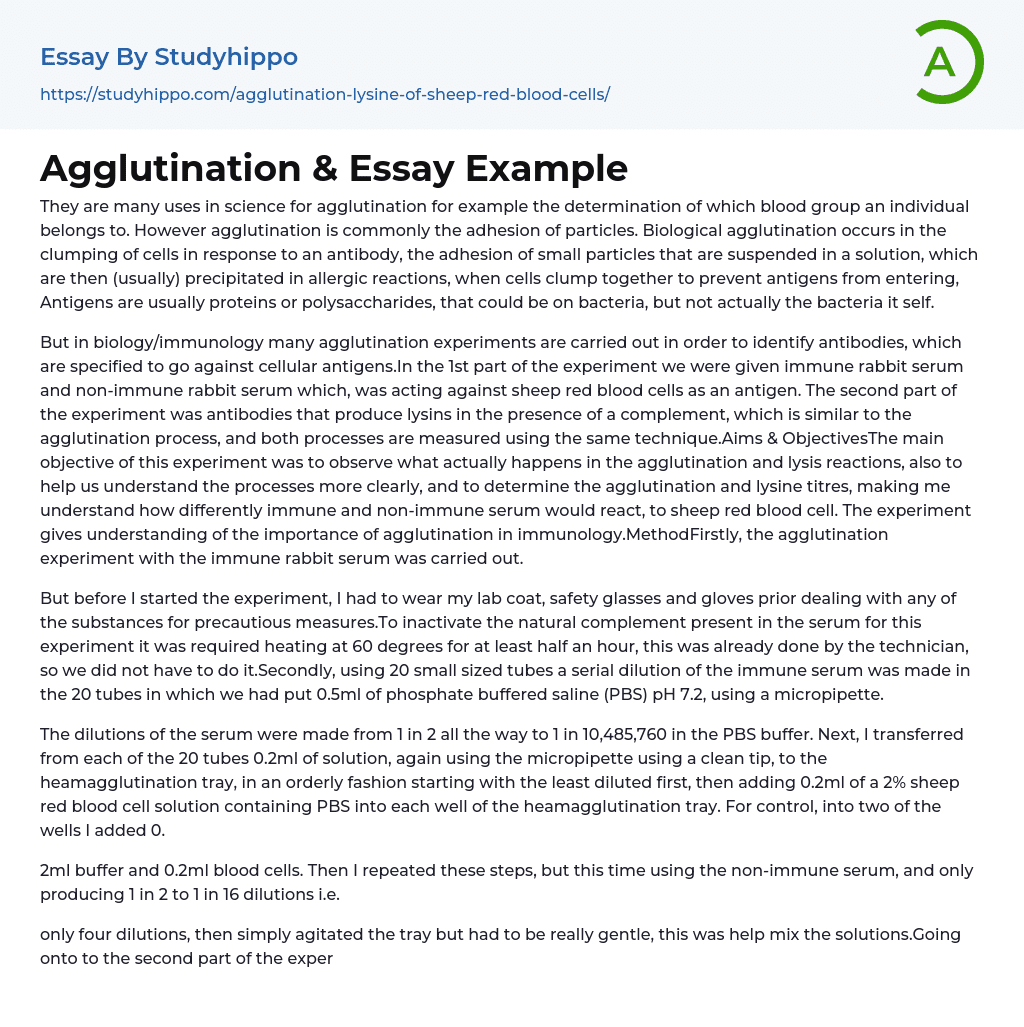 Agglutination &amp Essay Example