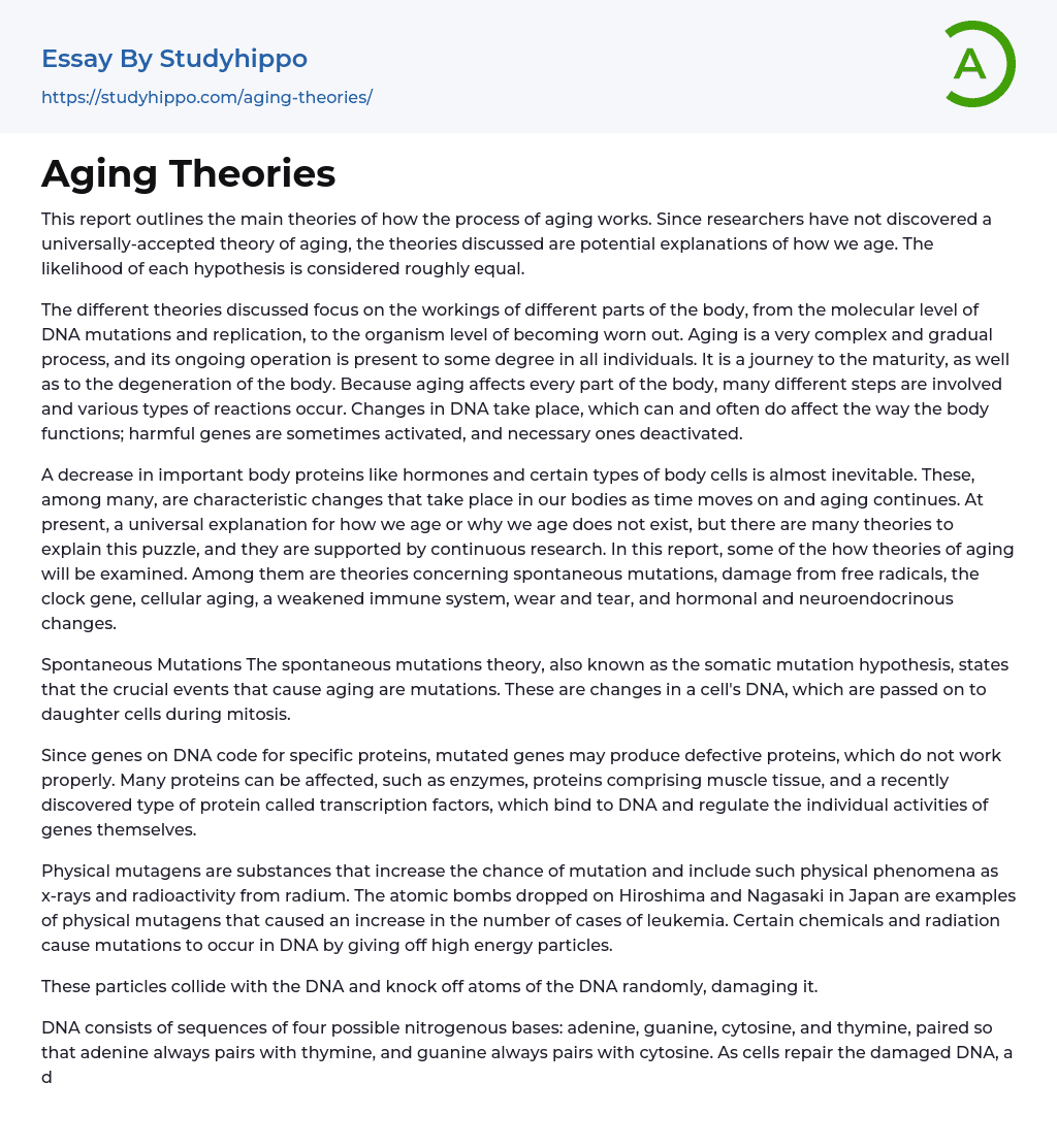 Aging Theories Essay Example