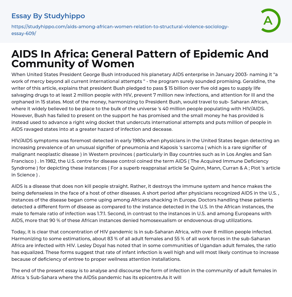 AIDS In Africa: General Pattern of Epidemic And Community of Women Essay Example