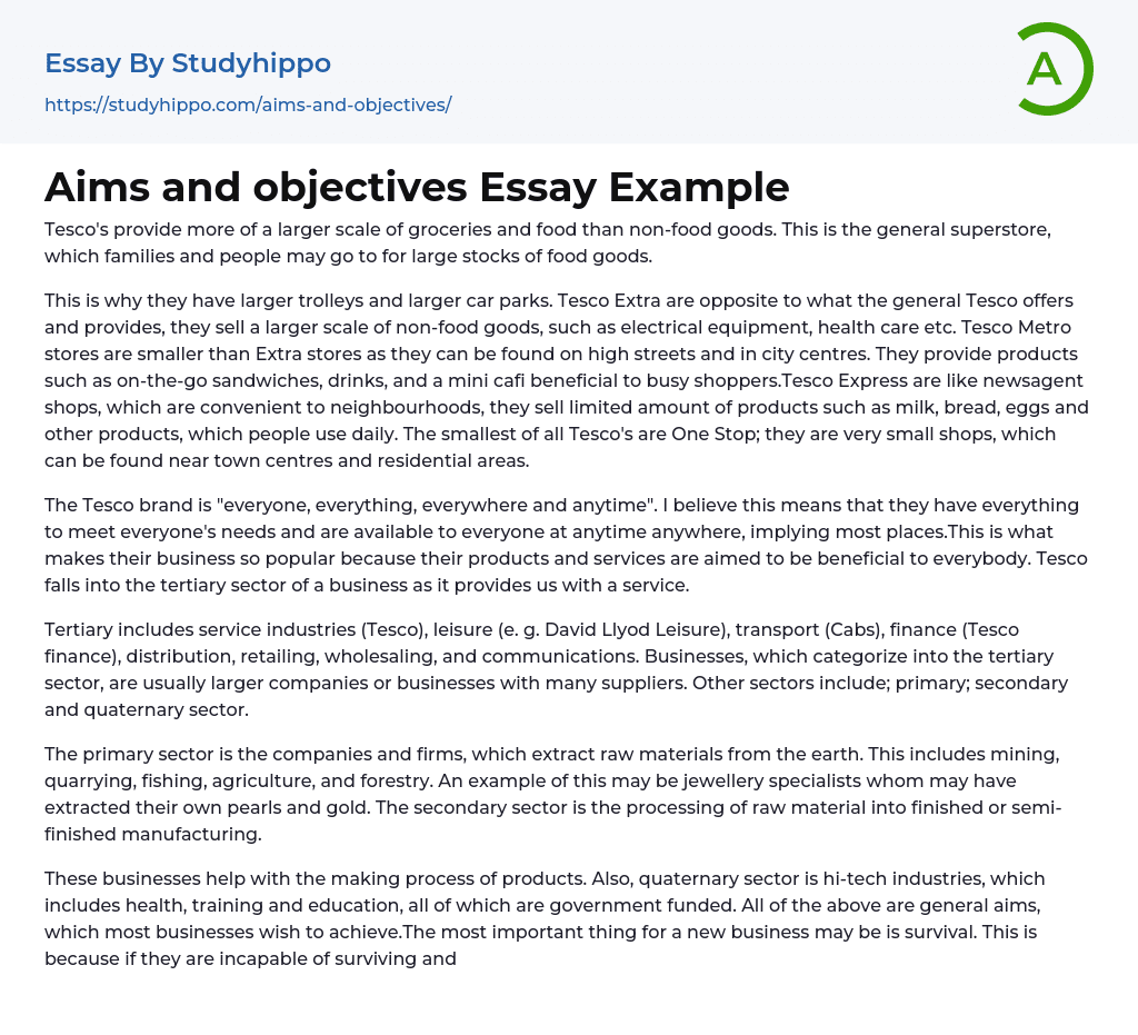 Aims and objectives Essay Example