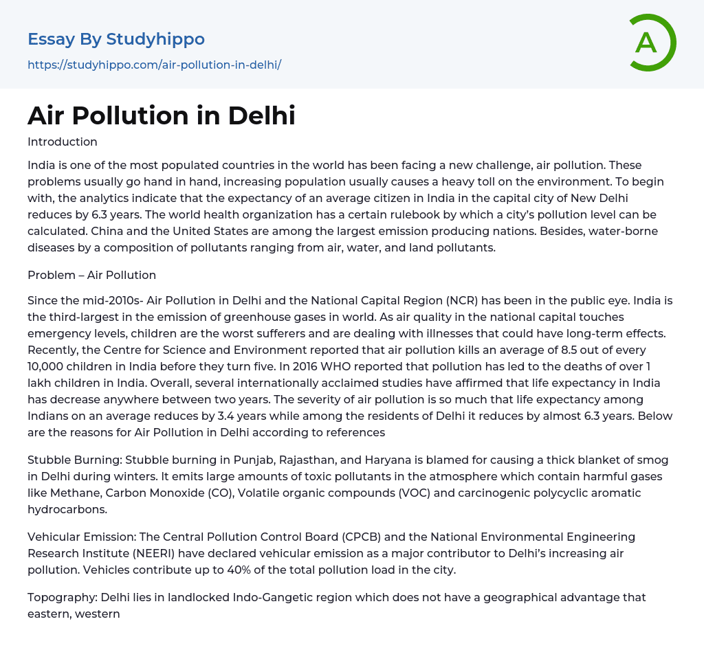 Air Pollution in Delhi Essay Example