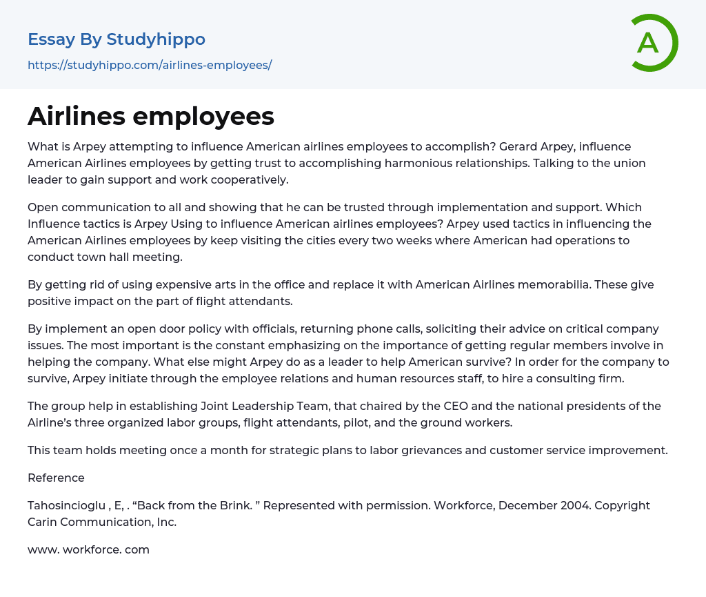 Airlines employees Essay Example