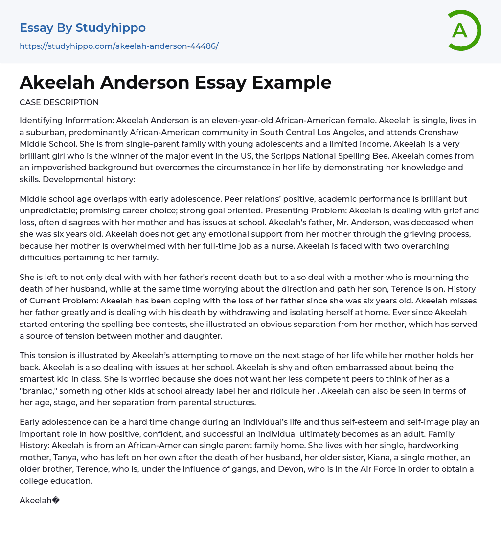 Akeelah Anderson Essay Example