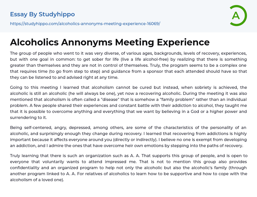 Alcoholics Annonyms Meeting Experience Essay Example