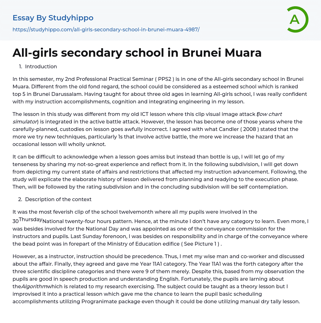 All-girls secondary school in Brunei Muara Essay Example