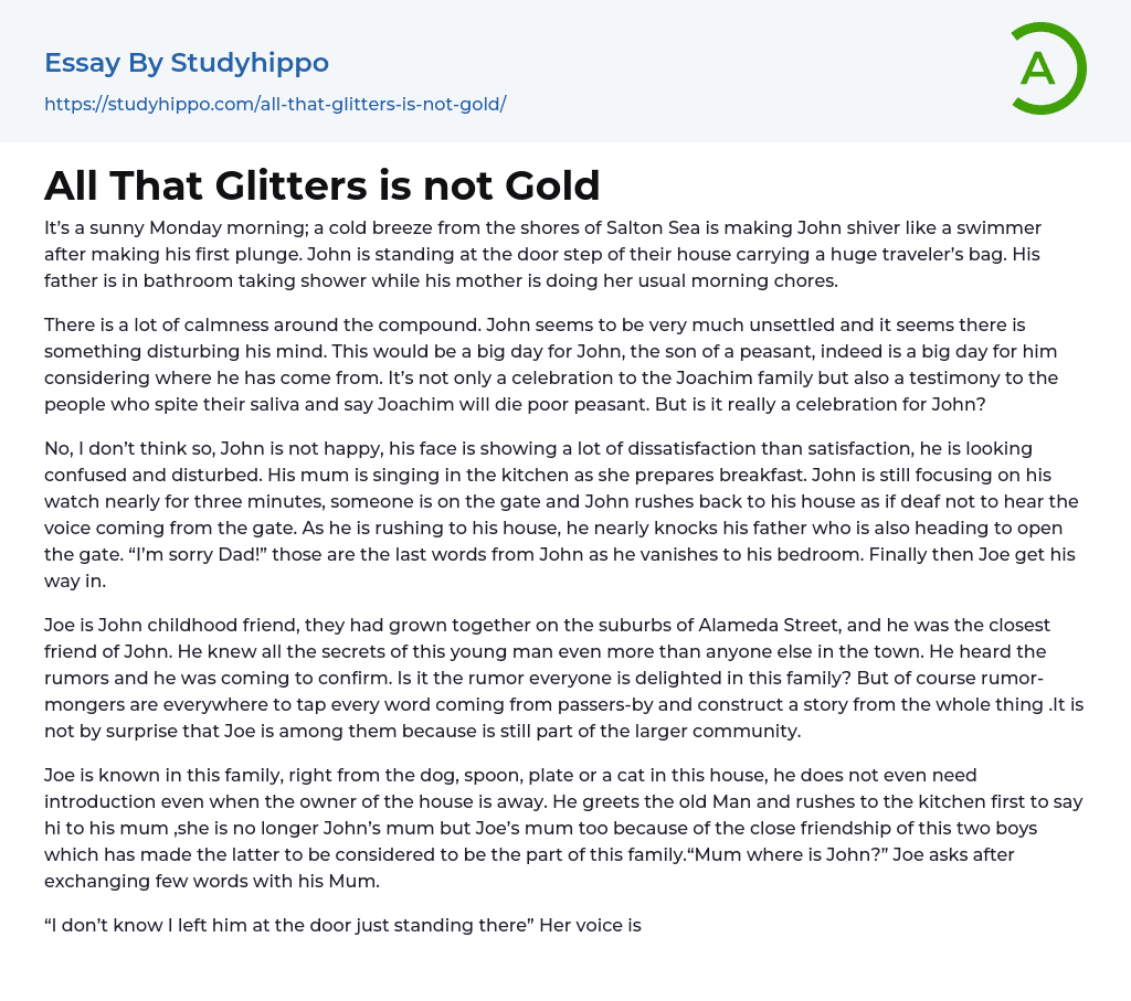 All That Glitters is not Gold Essay Example