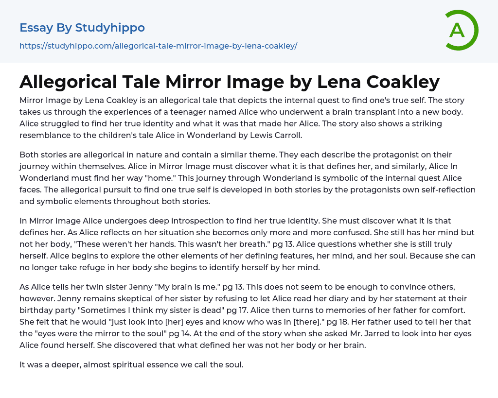Allegorical Tale Mirror Image by Lena Coakley Essay Example