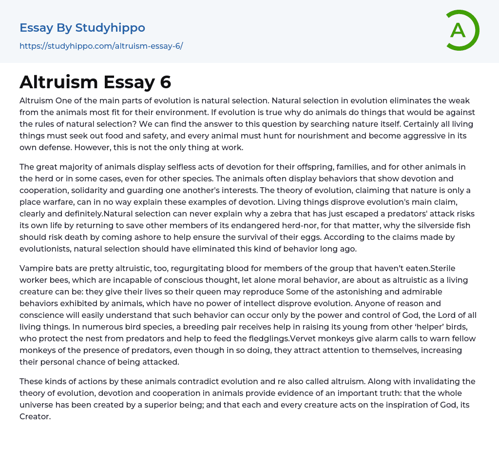 Altruism Essay 6