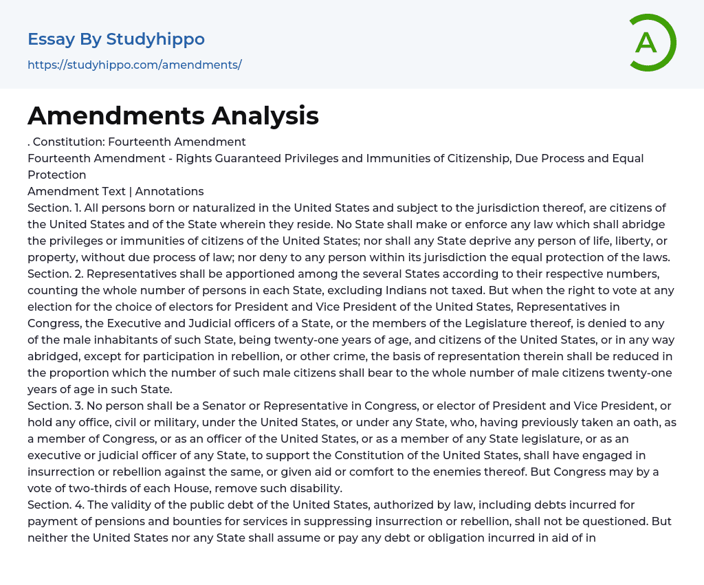 Amendments Analysis Essay Example