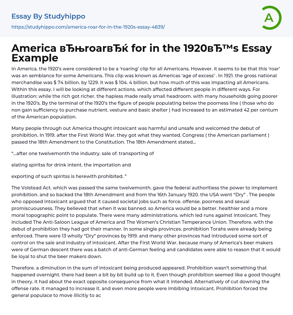 America “roar” for in the 1920’s Essay Example