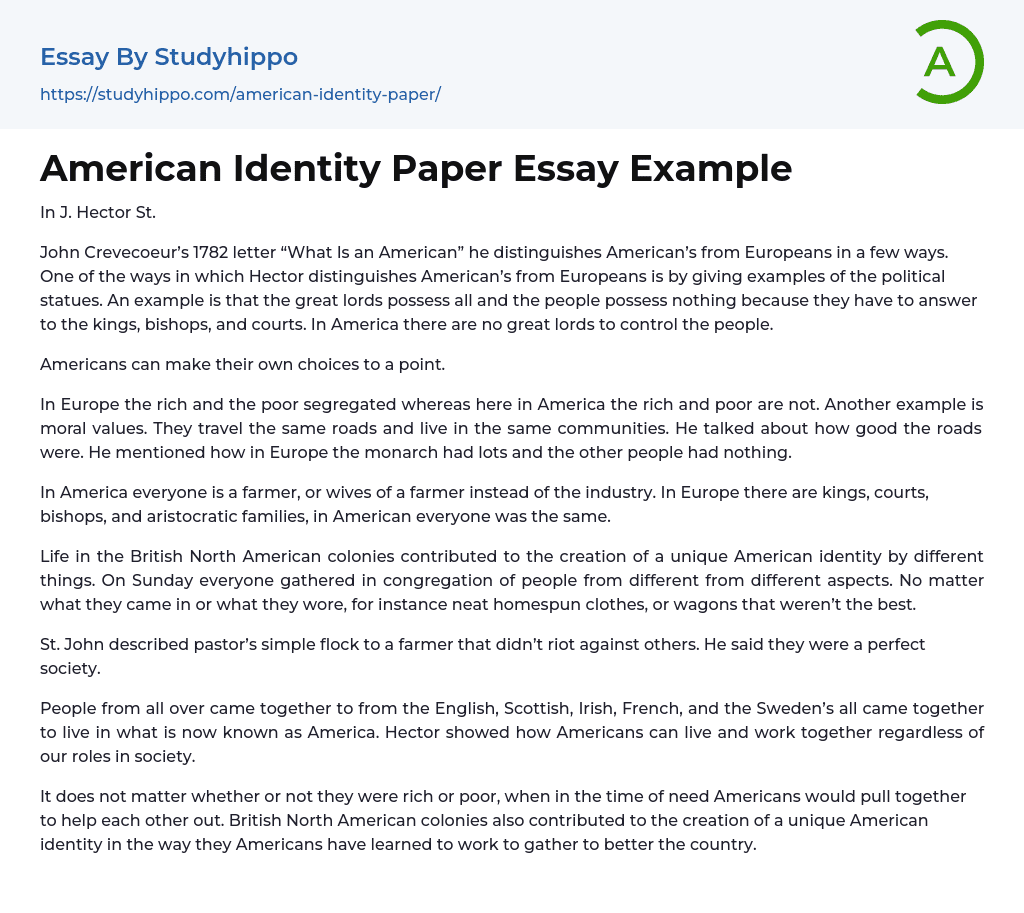 American Identity Paper Essay Example