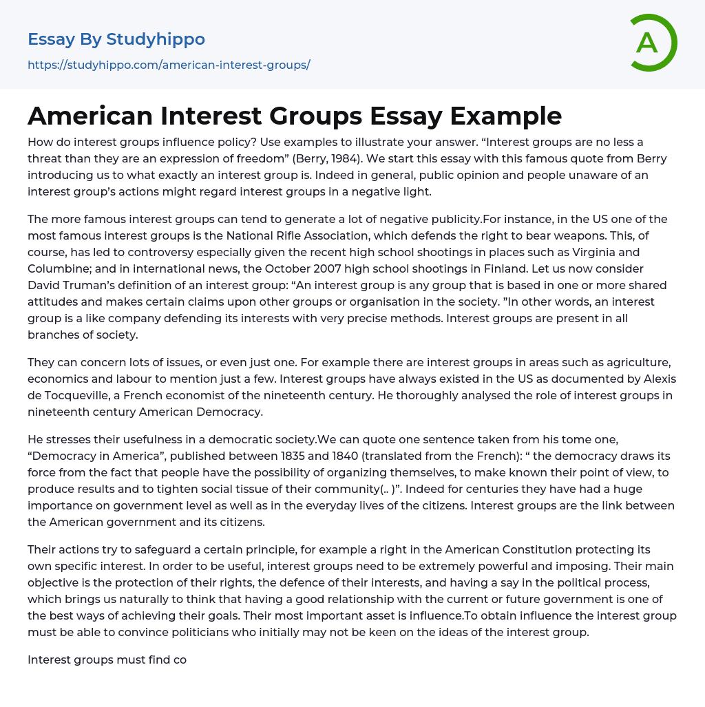 American Interest Groups Essay Example