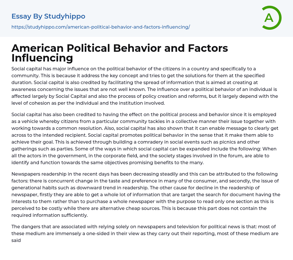 American Political Behavior and Factors Influencing Essay Example