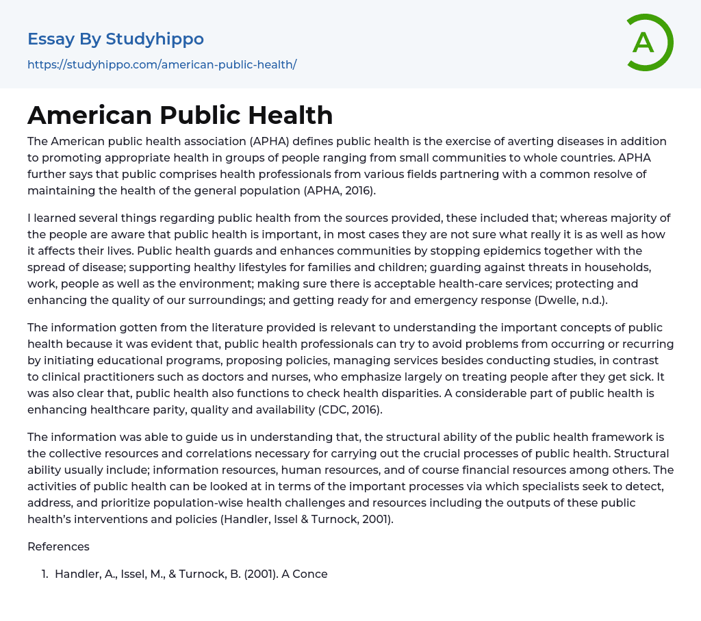 American Public Health Essay Example