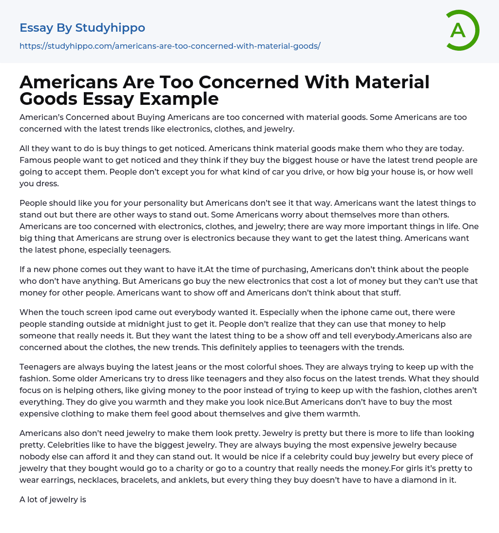 Americans Are Too Concerned With Material Goods Essay Example