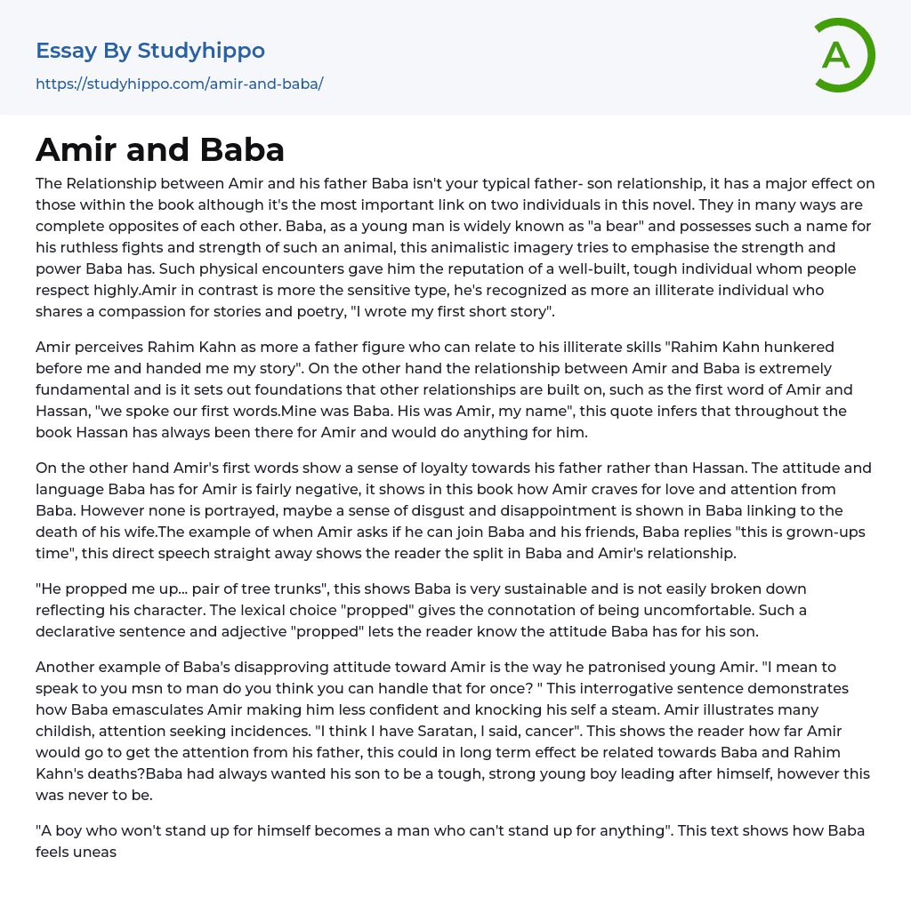 Amir and Baba Essay Example