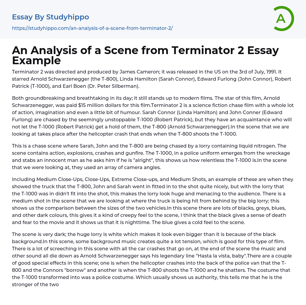 An Analysis of a Scene from Terminator 2 Essay Example