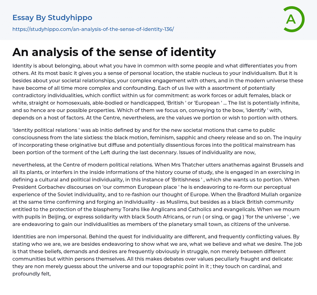 An analysis of the sense of identity Essay Example