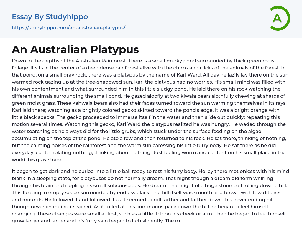 An Australian Platypus Essay Example