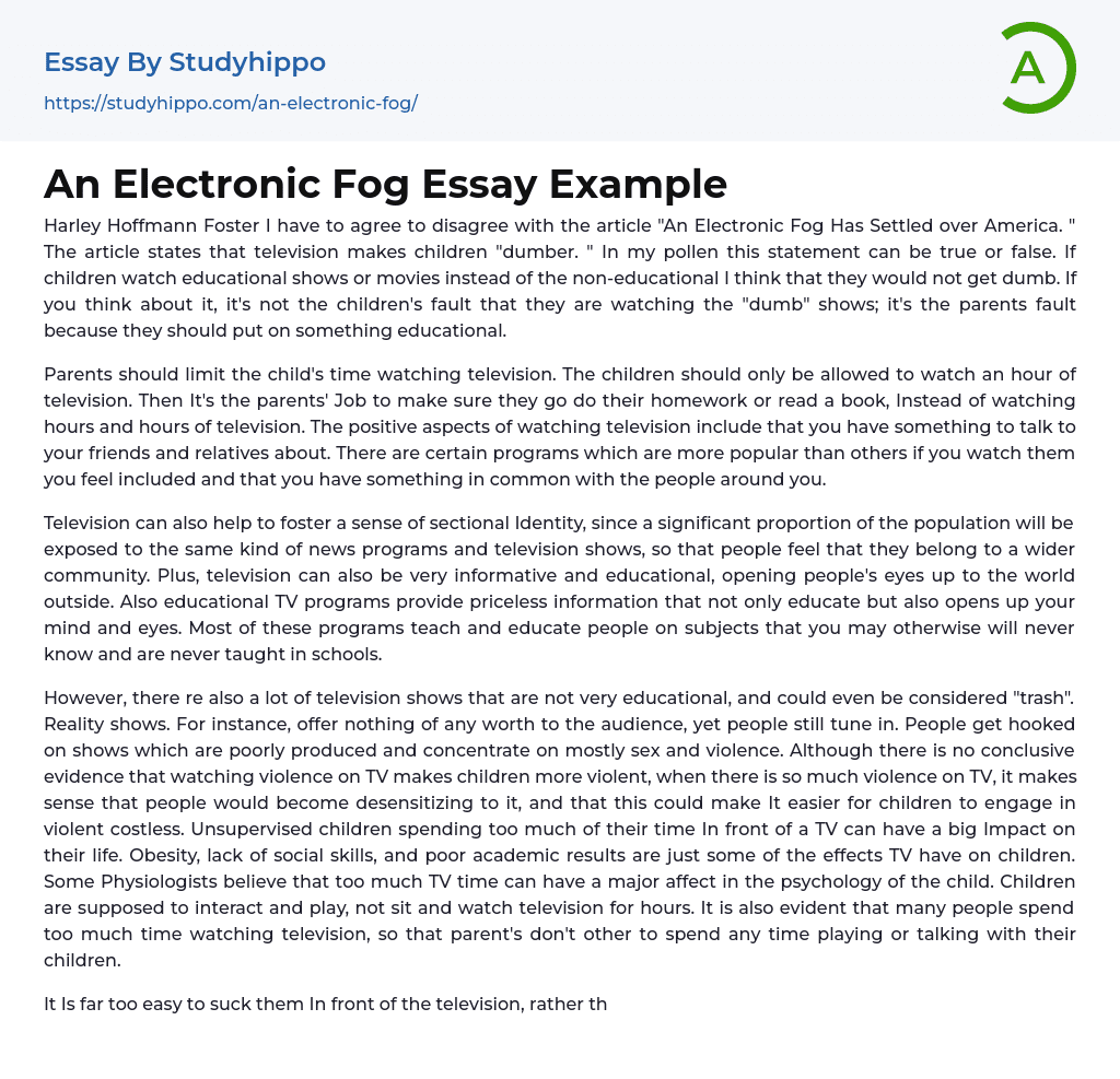 An Electronic Fog Essay Example