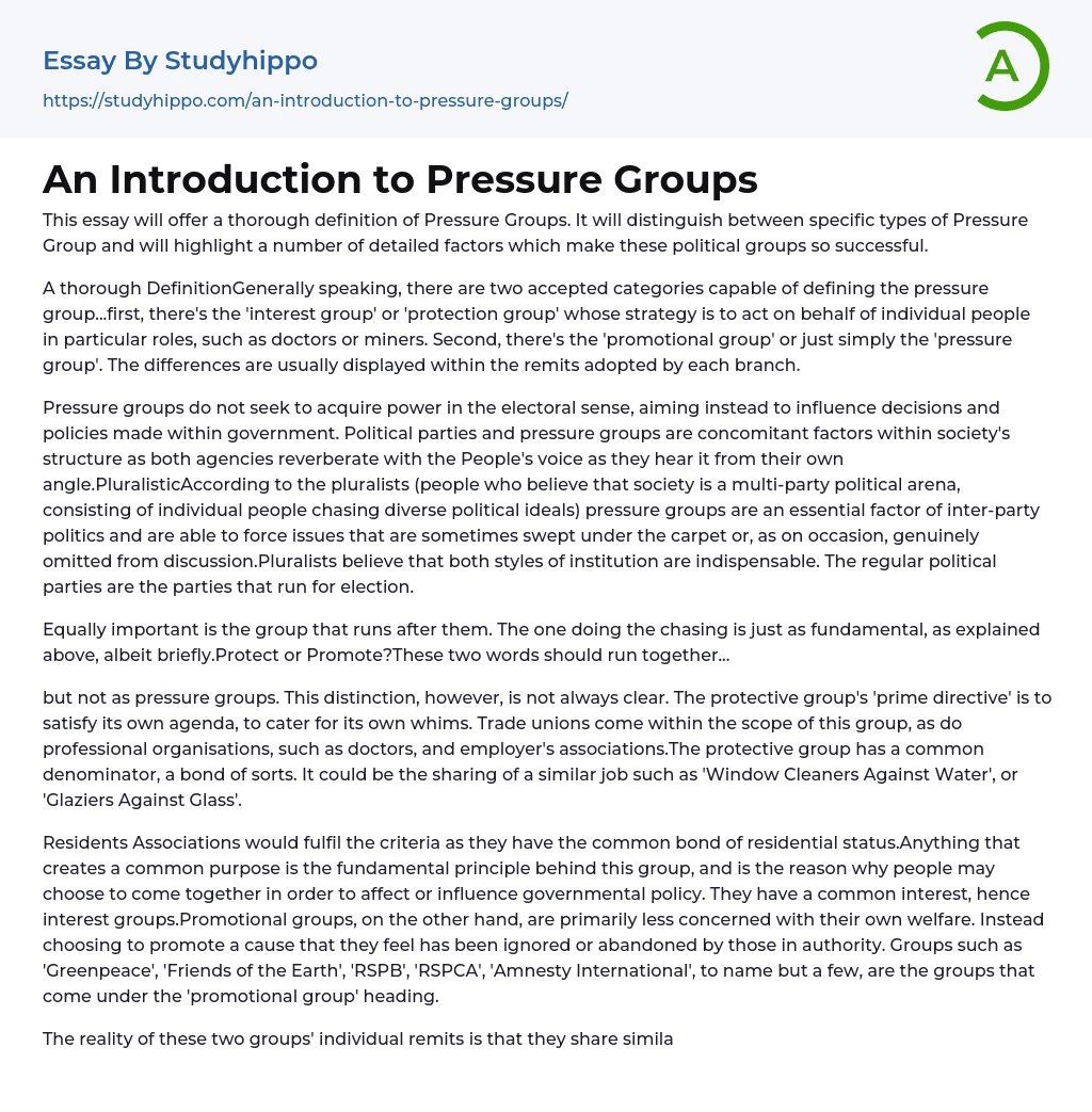 An Introduction to Pressure Groups Essay Example