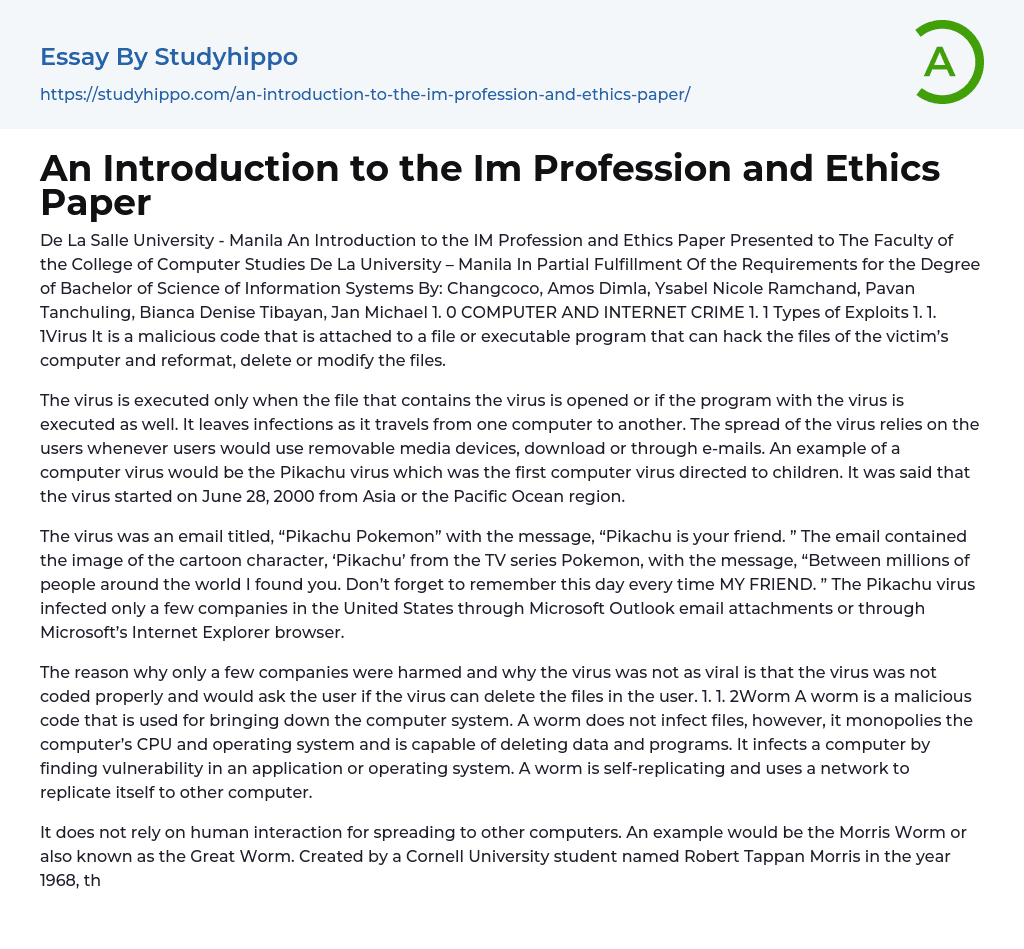 An Introduction to the Im Profession and Ethics Paper Essay Example