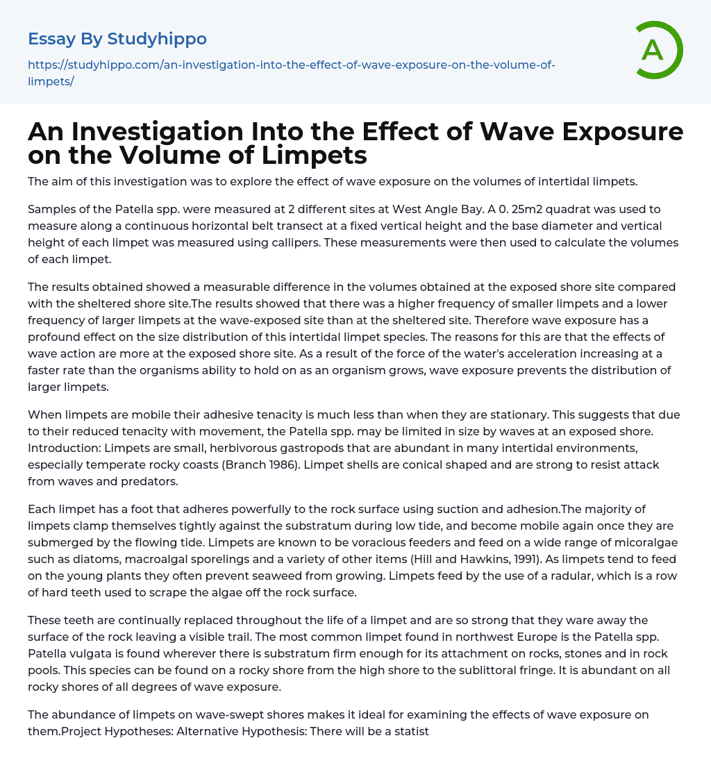 An Investigation Into the Effect of Wave Exposure on the Volume of Limpets Essay Example