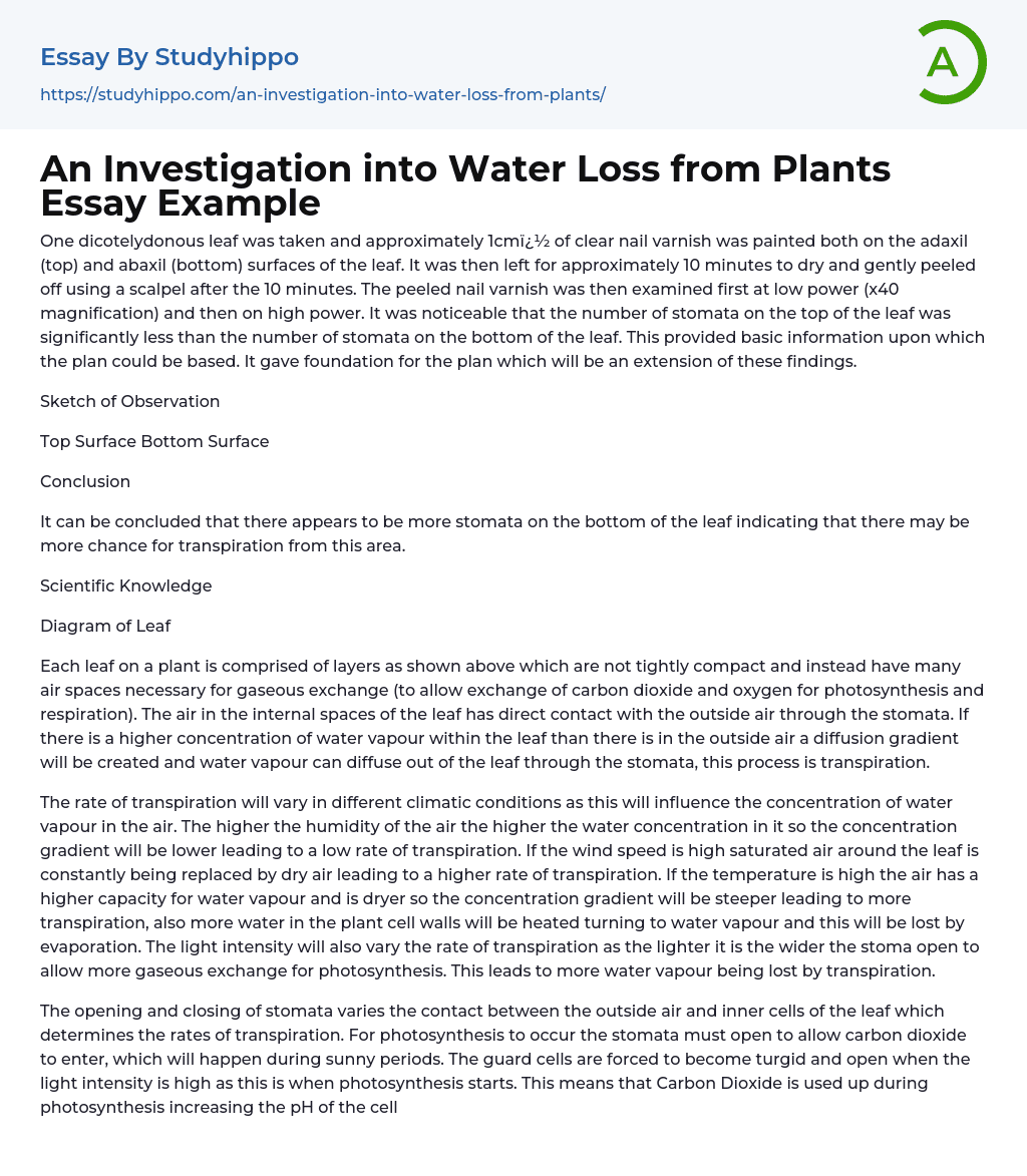An Investigation into Water Loss from Plants Essay Example