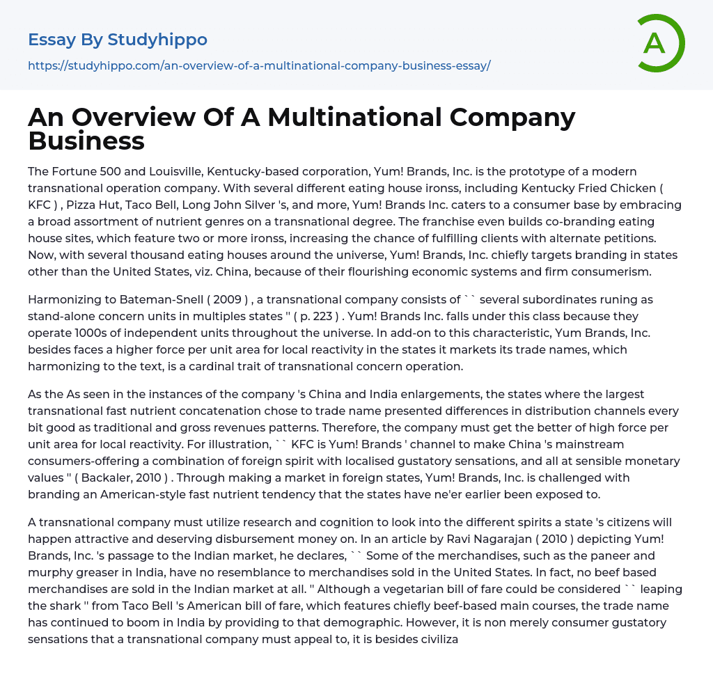An Overview Of A Multinational Company Business Essay Example