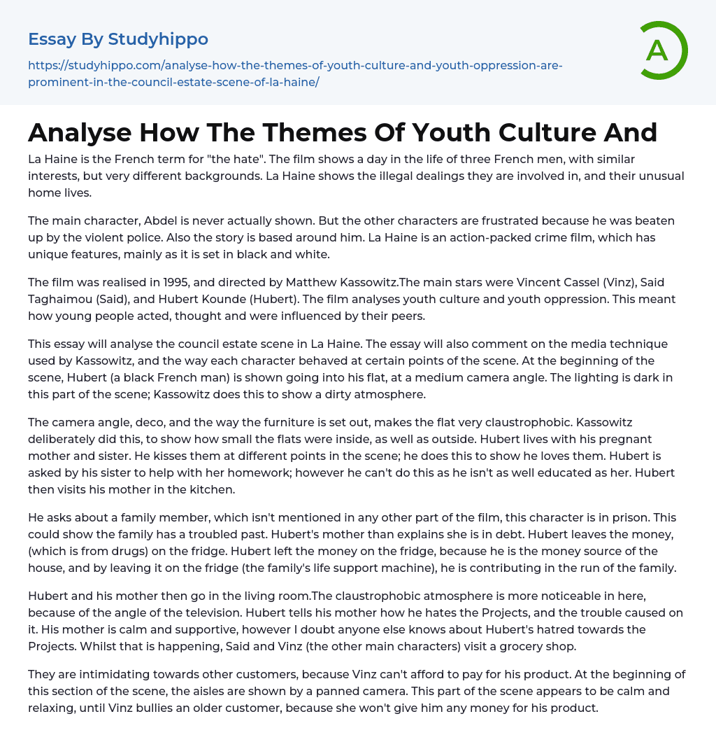 Analyse How The Themes Of Youth Culture And Essay Example